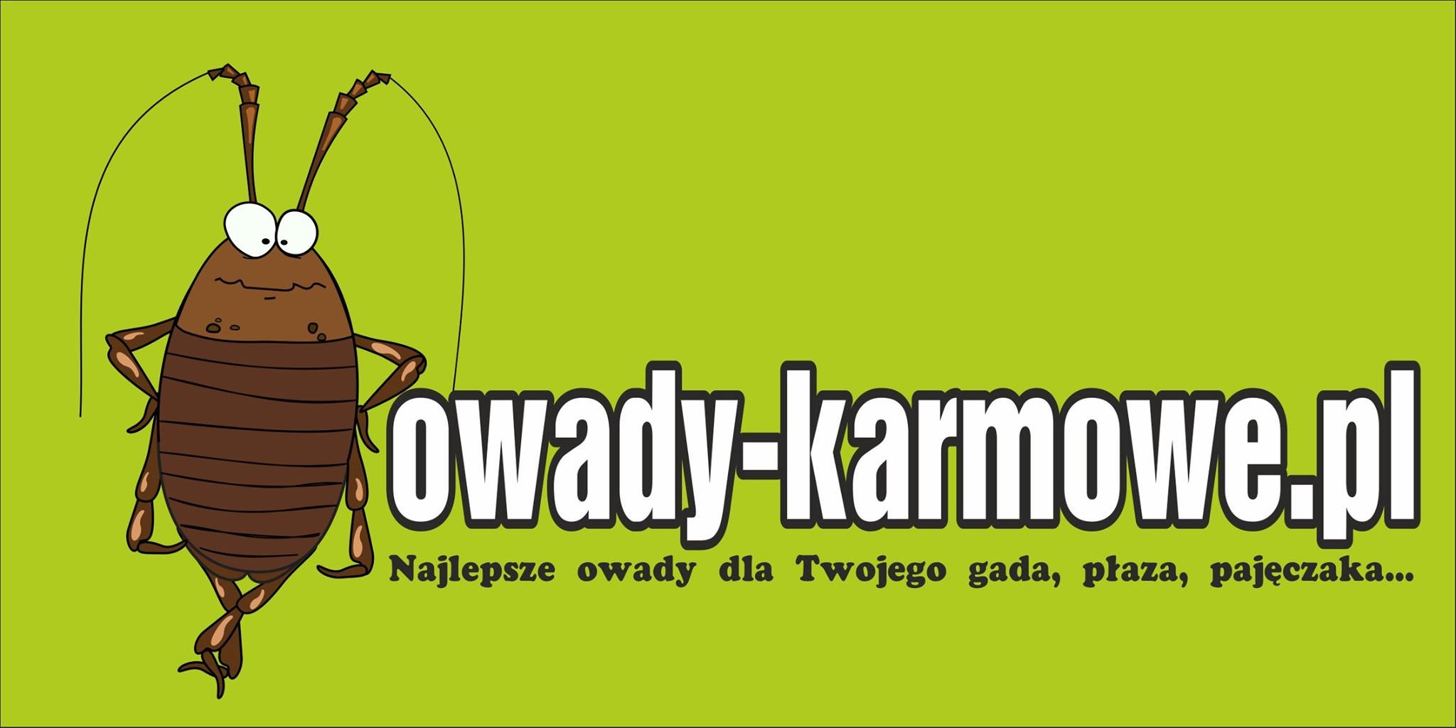 owady-karmowe.pl